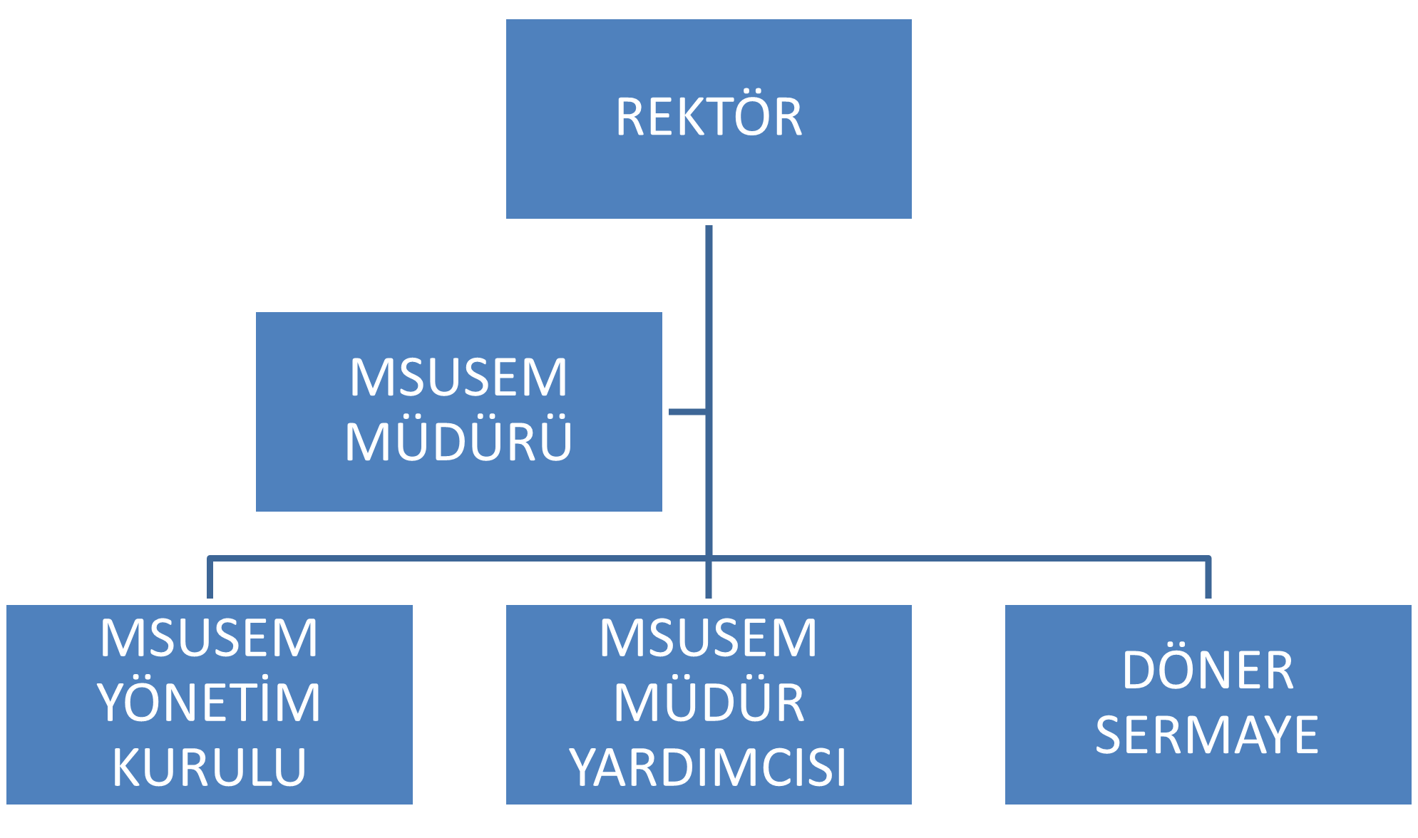 MSUSEM Organizasyon Şeması